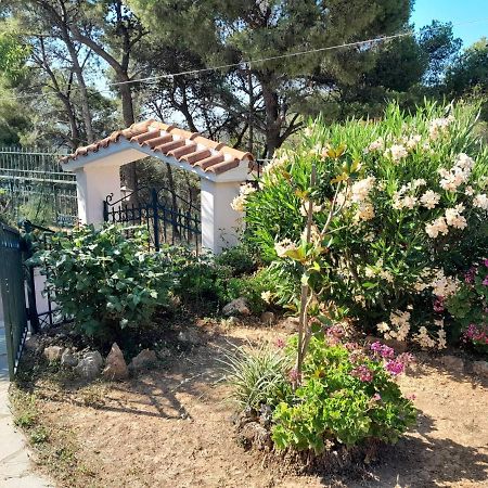 Paradise Dhaskalion Bagian luar foto