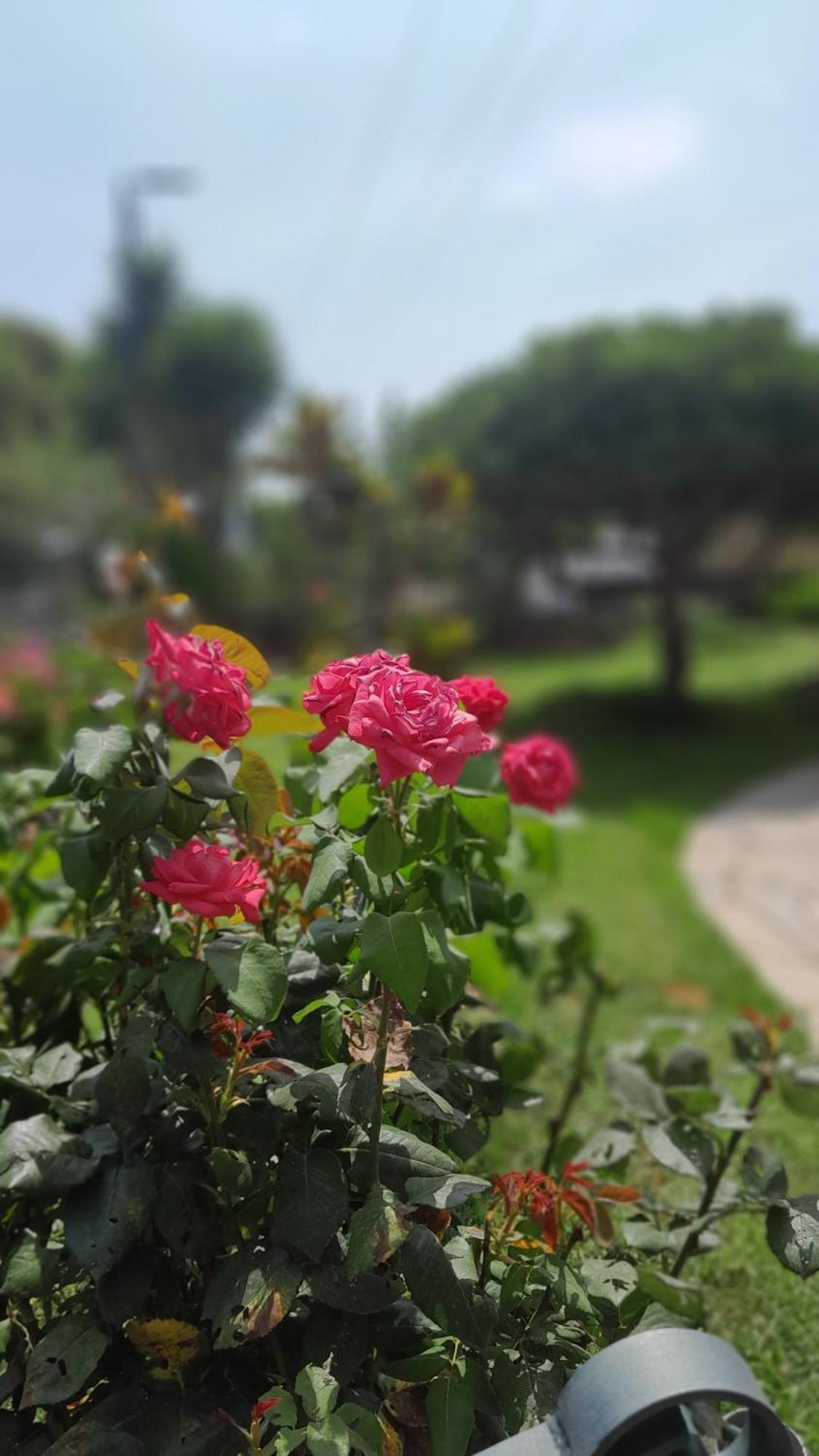 Paradise Dhaskalion Bagian luar foto