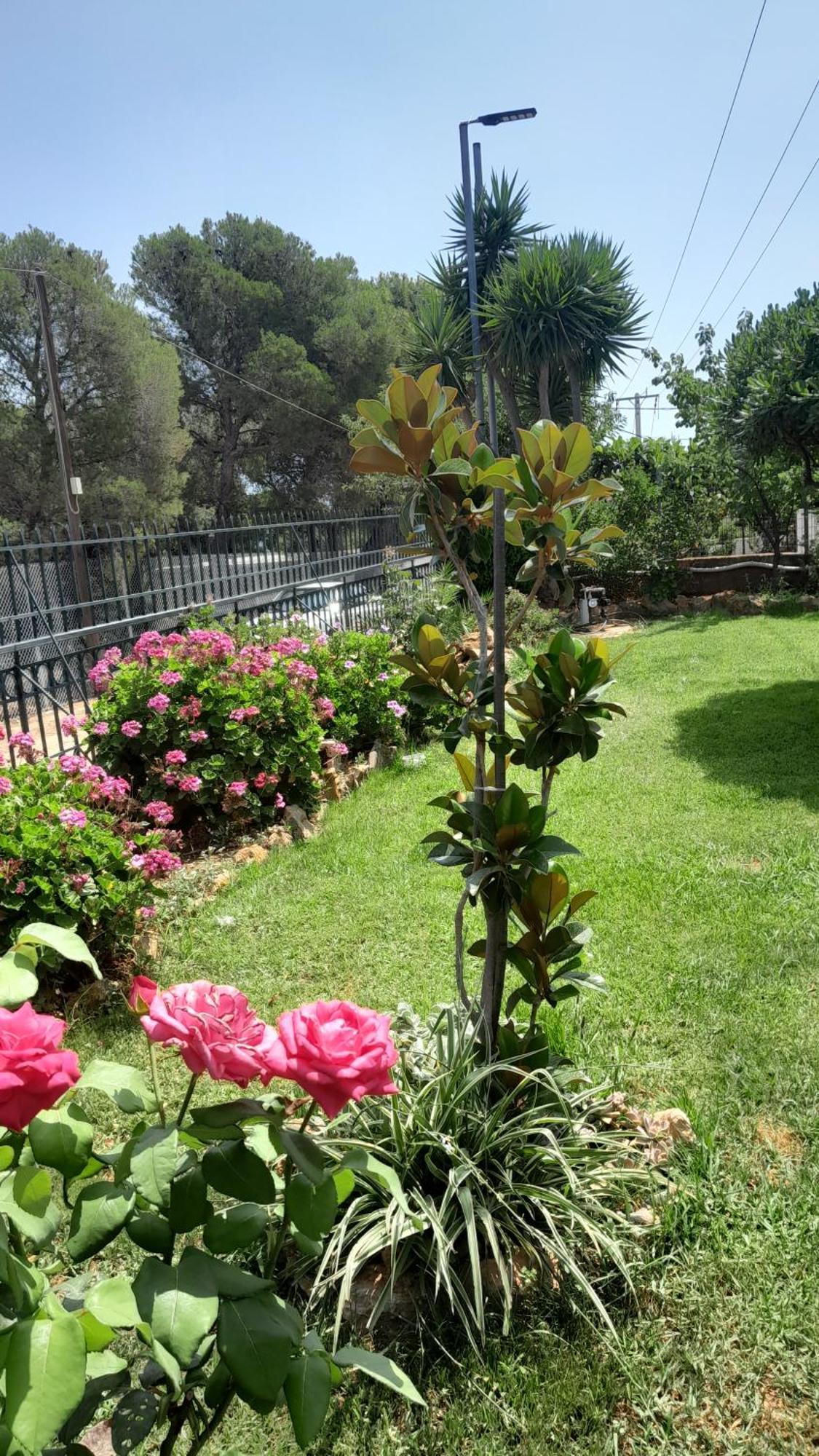 Paradise Dhaskalion Bagian luar foto